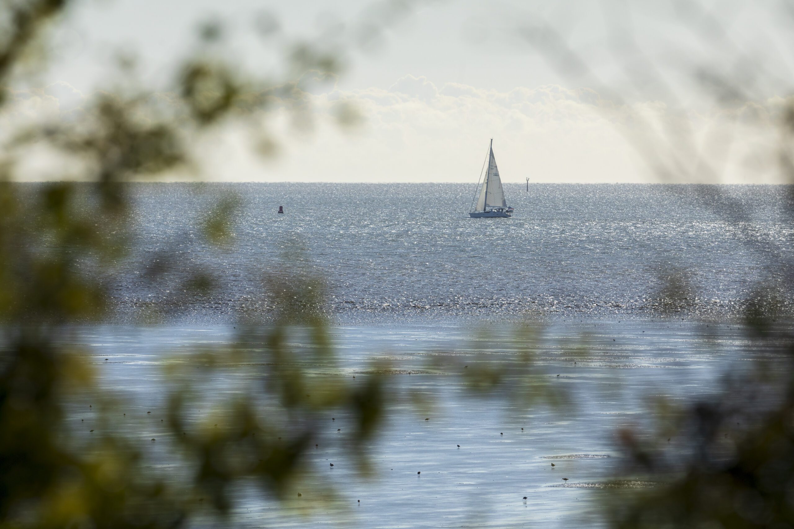 Grain Coastal Park