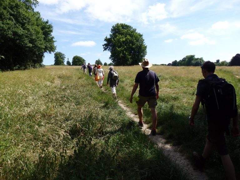 A group of walkers walking in the Kent countryside