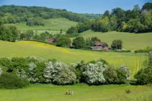 Magpie Bottom in the Darent Valley - copyright johnmillerphotography.com