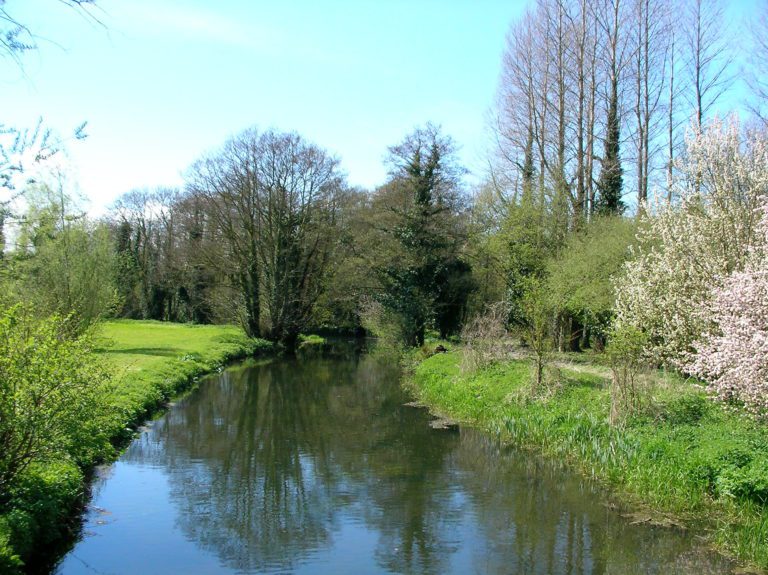 Calm river with surrounding trees and grass, on a sunny day.