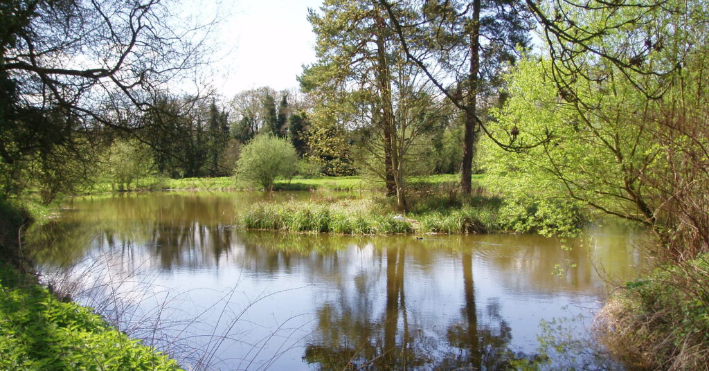 Calm lake with reflection of surrounding trees, on a sunny day.