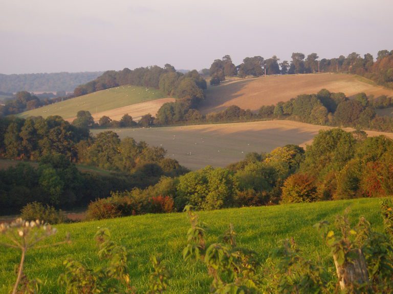 View across grass and crop fields, with tree lines and woodlands in distance.