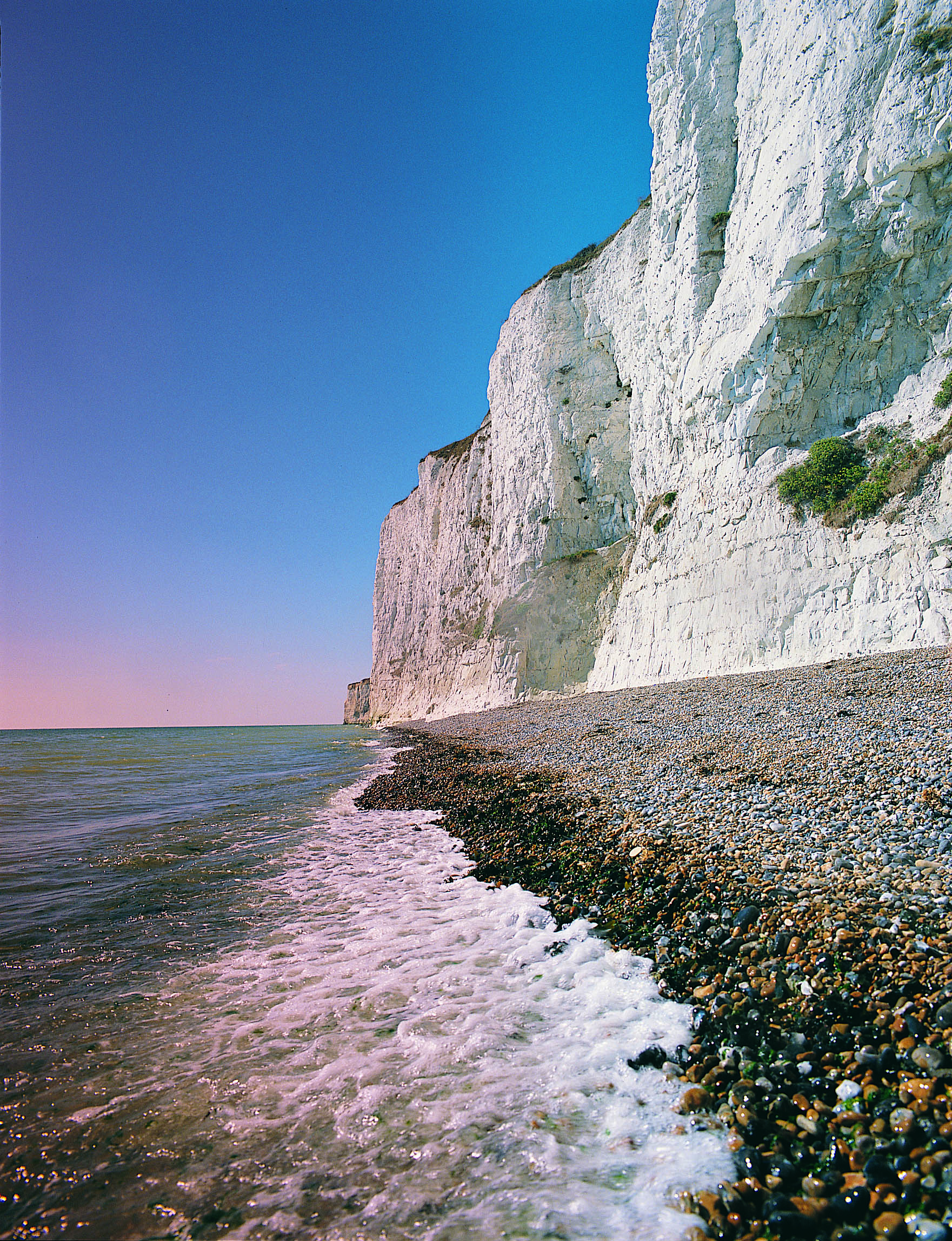 South Foreland with white cliffs on right, pebble beach with sea on left. Sunny pink sky.