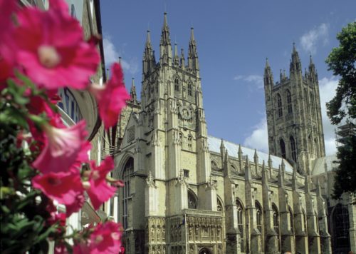 Outside Canterbury Cathedral, with pink flower on foreground. Sunny day.