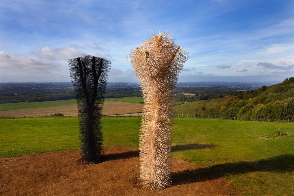 The Ash Project - Kent Downs