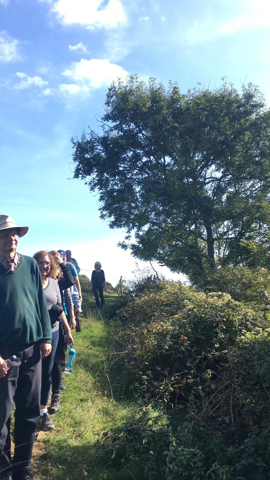 Group of walkers, standing on path, with hedges and trees alongside them.