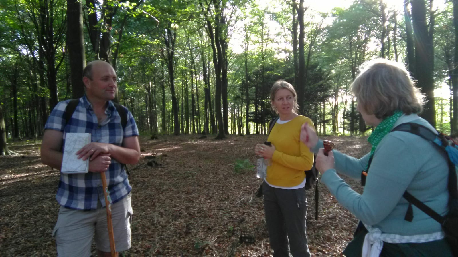 Three people standing talking in woodland. Sunny day, with tall trees surrounding them.