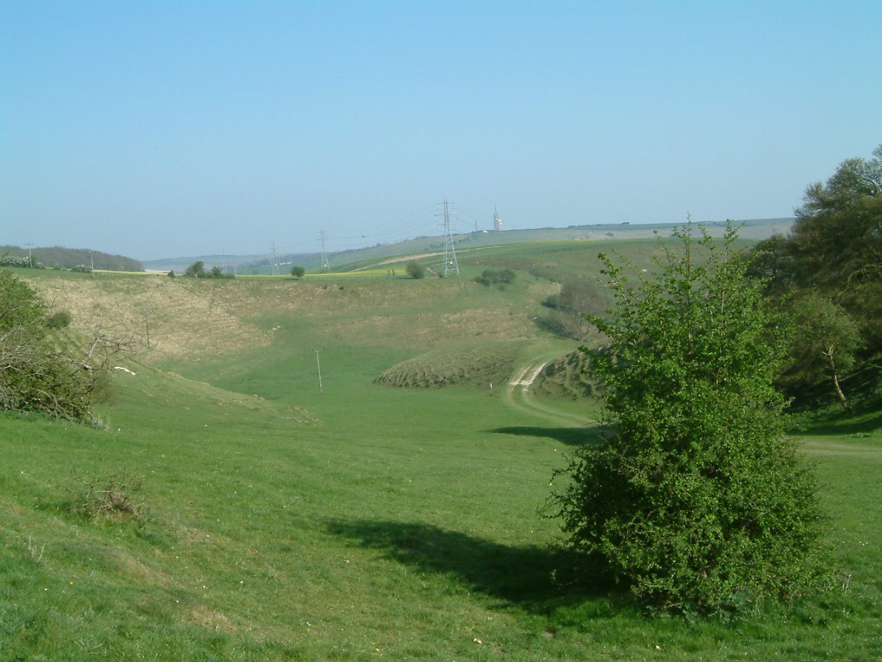 View across Farthing Common. Grass fields with some hedges.
