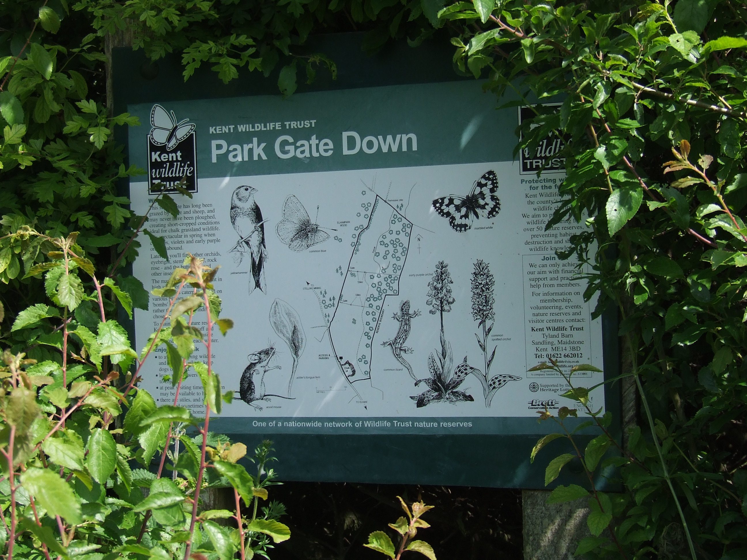 The information board at Park Gate Down Nature Reserve