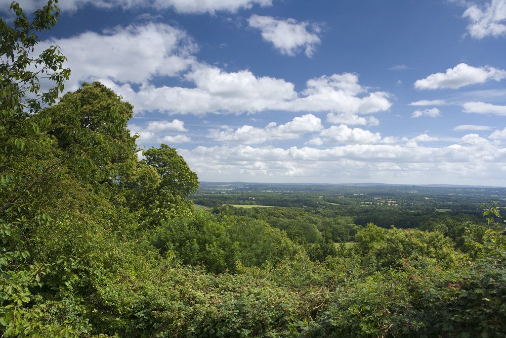View across Toys Hill, woodland and grass fields, on a sunny day.