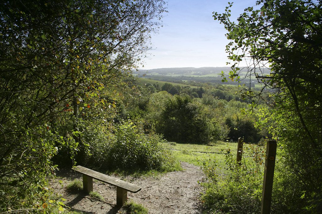 Wooden seat overlooking the view of Kemsing Down. Green fields lots of trees surrounding and in distance.