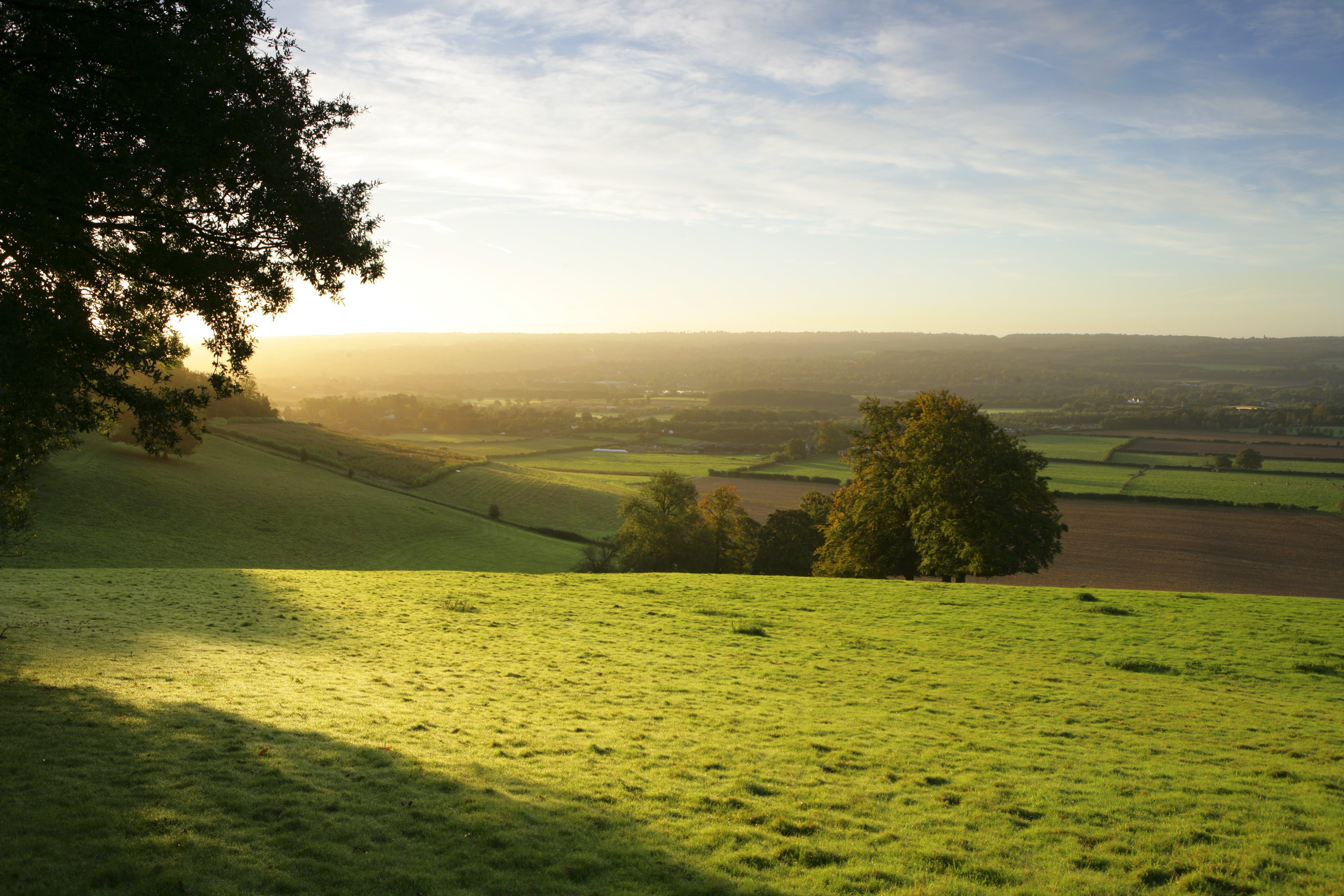 Chevening-sweeping-Landscape-