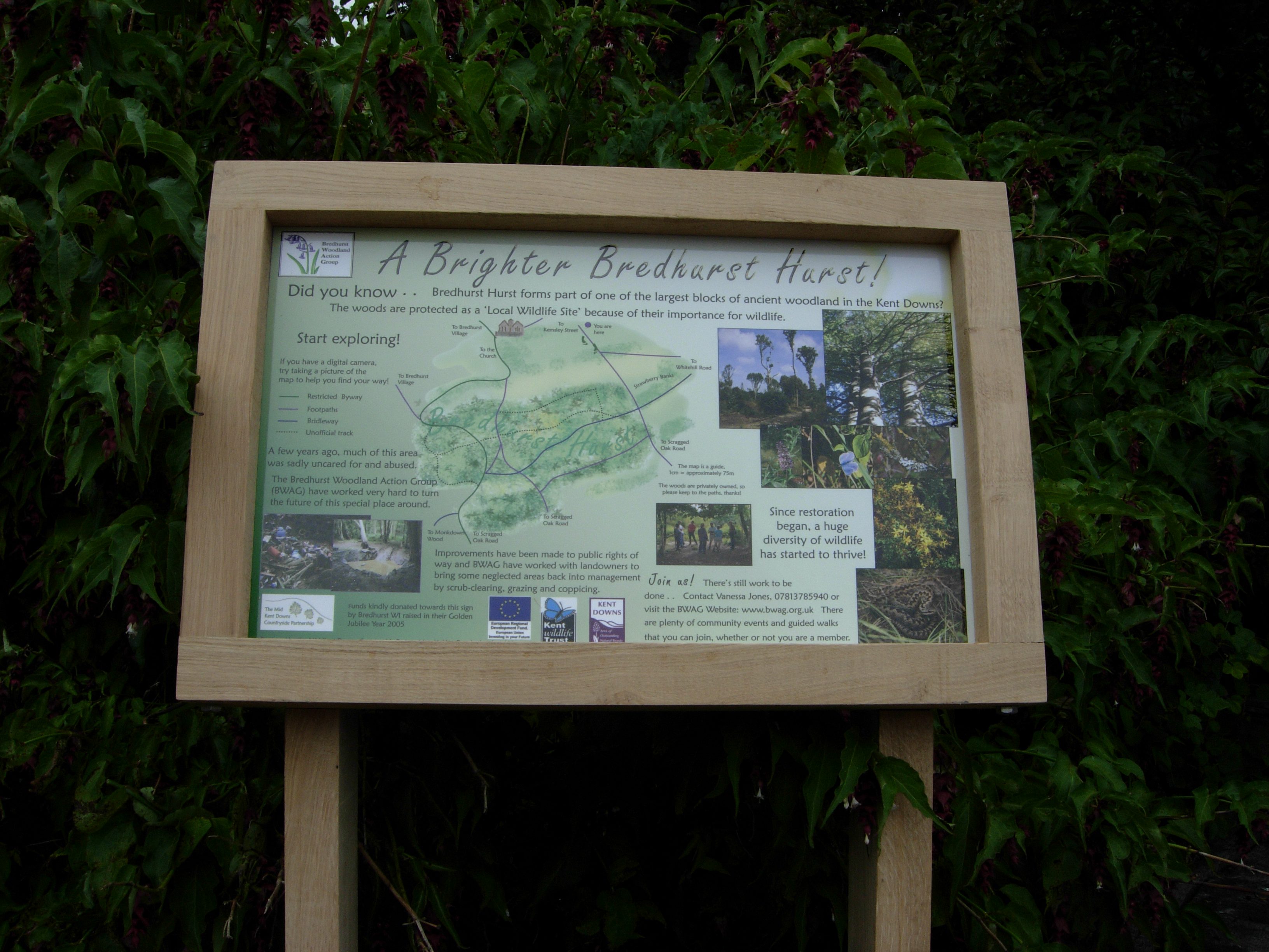 A Brighter Bredhurst Hurst sign, showing a map of the ancient woodland and other woodland images.