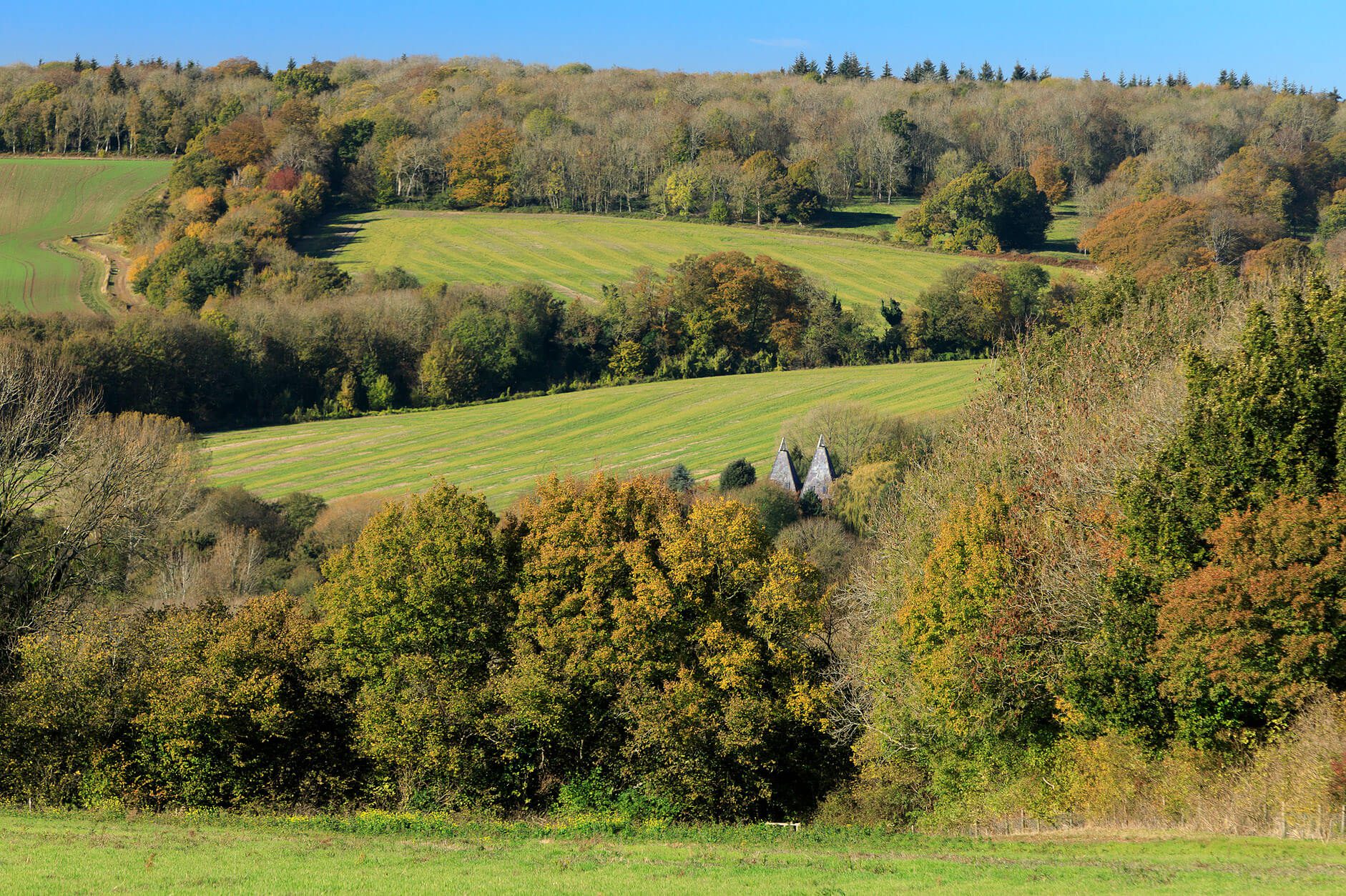 View across Stour Valley. Green fields, and trees in autumn.