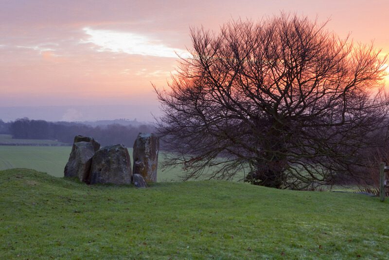Sunset over Coldrum Stones. Grass fields and trees in distance, with one big tree next to the stones.