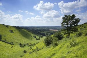 rolling hills in the sunshine