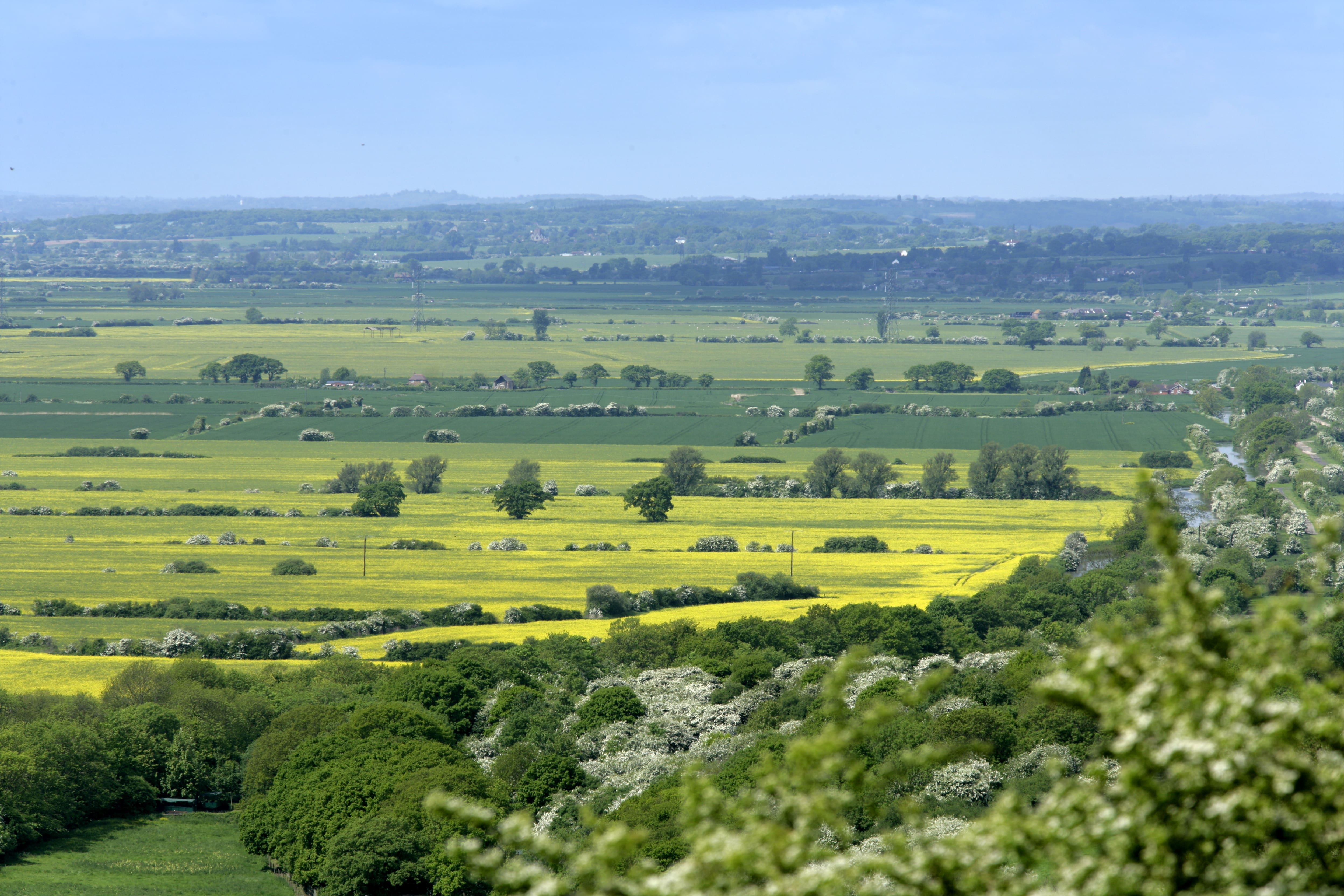 Views across Lympne, green fields, crop fields and trees.