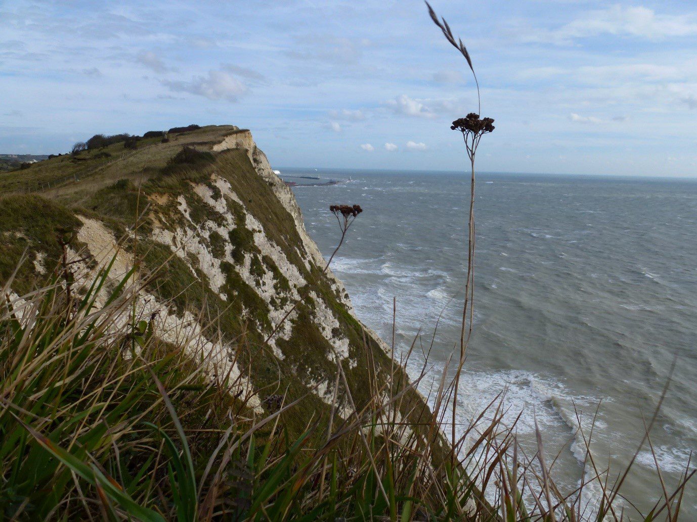 dover cliffs