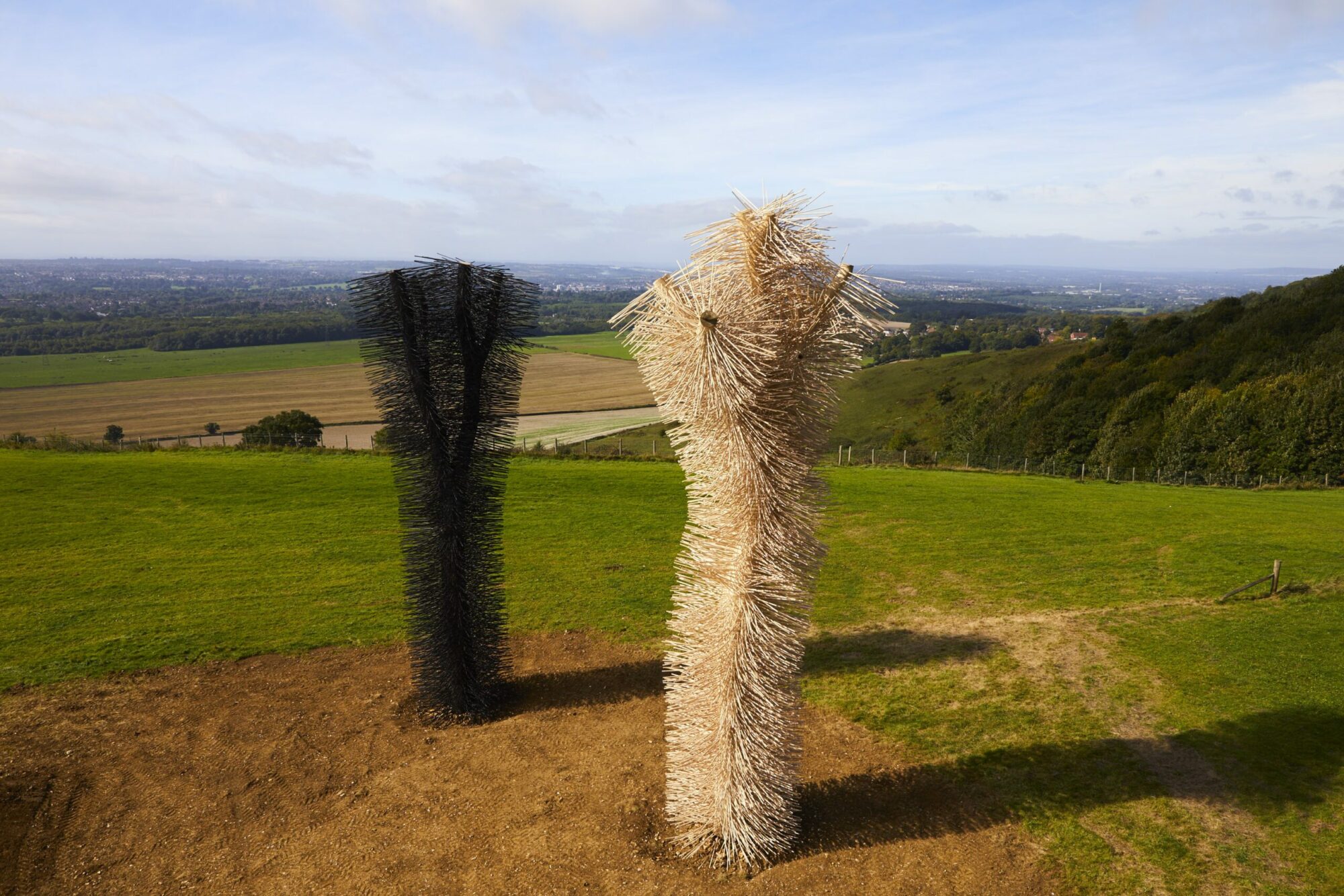 Ash to Ash sculpture by Ackroyd & Harvey