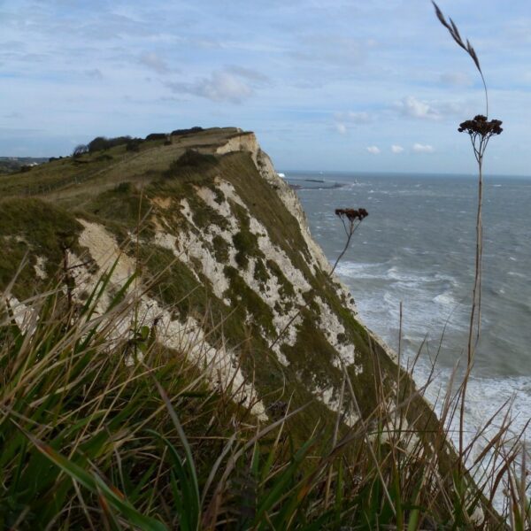 dover cliffs