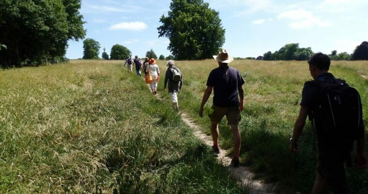 A group of walkers walking in the Kent countryside, on a path, through grass fields and some trees in the distance.