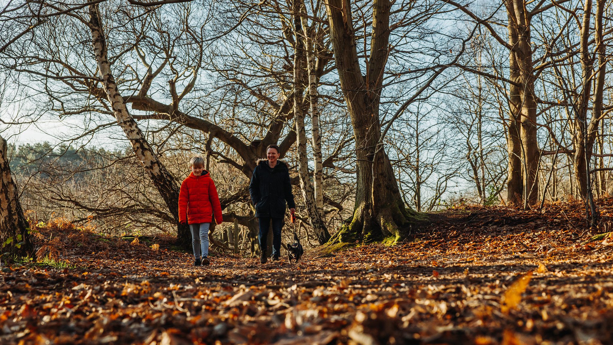 Father and son walking through deciduous woodland in winter