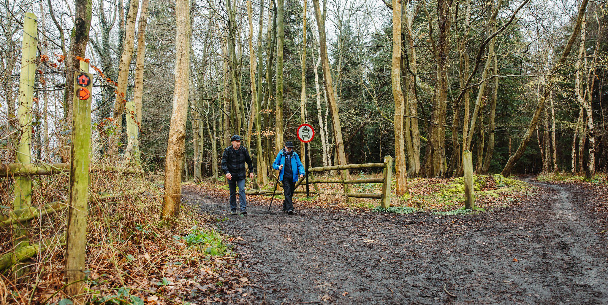 Two men walking along byway in woodland
