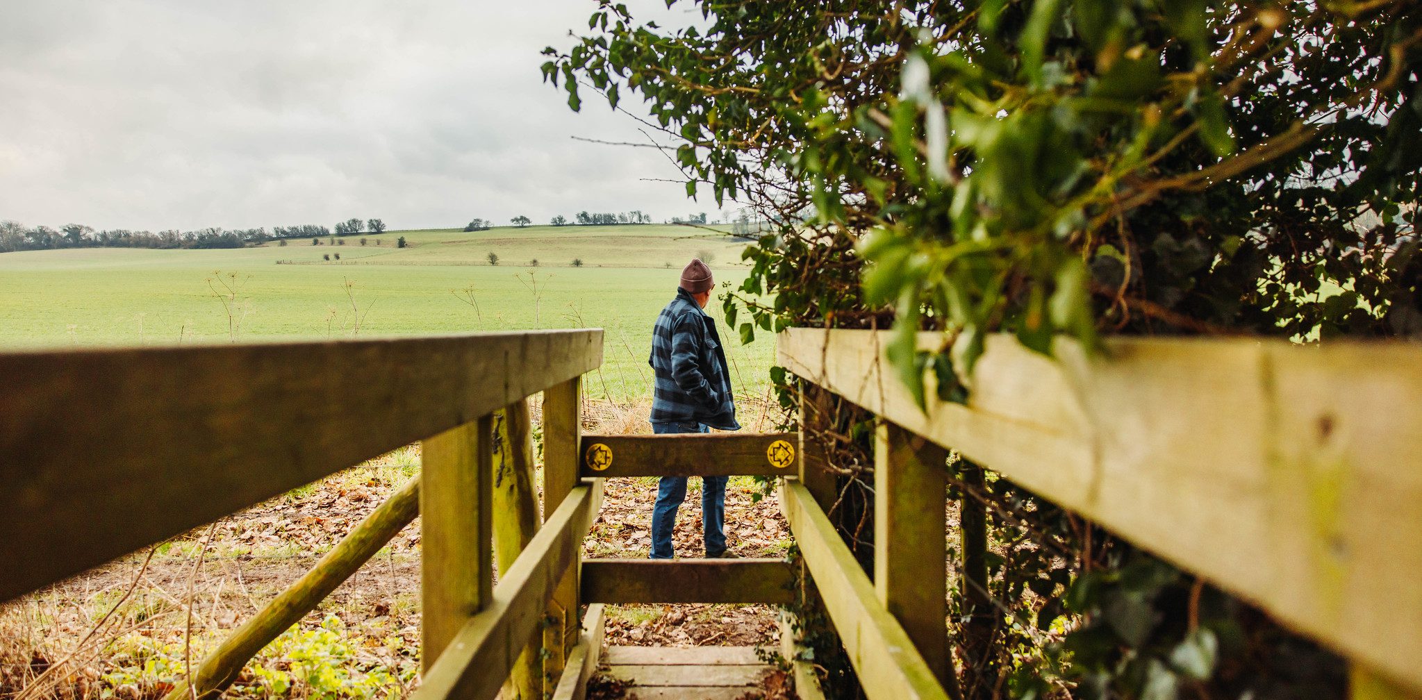 Man looking at countryside by stile