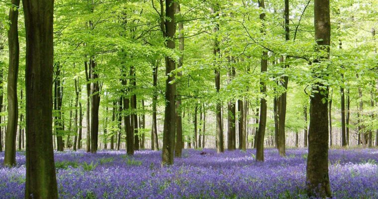 Farming in Protected Landscapes: Indicative Projects