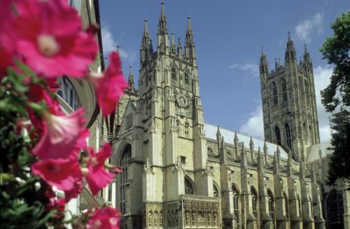 Outside Canterbury Cathedral, with pink flower on foreground. Sunny day.