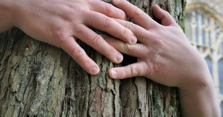 Close-up hands wrapped around a tree trunk.