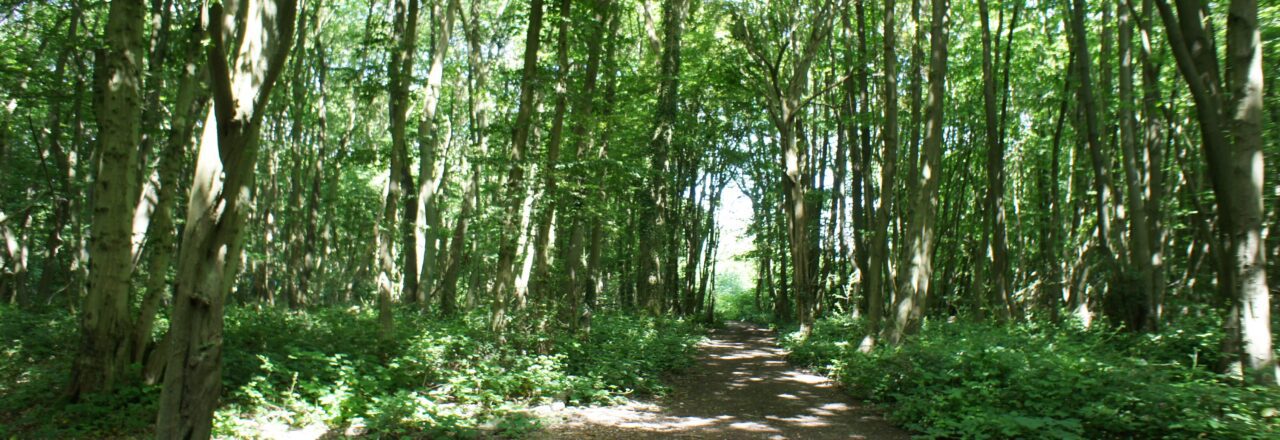 Farming in Protected Landscapes: Indicative Projects