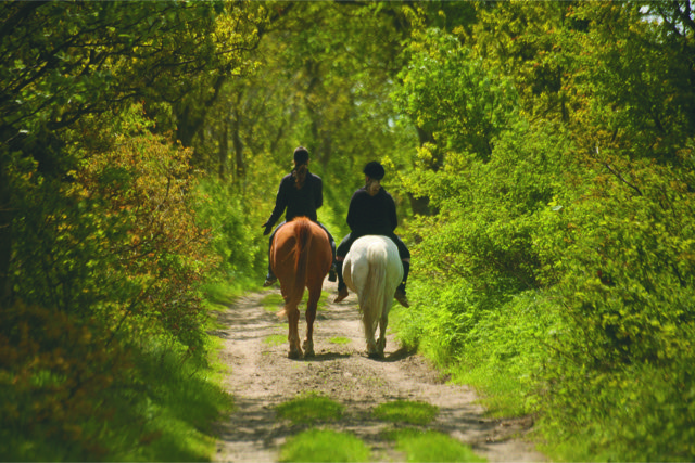horseriders - know your rights