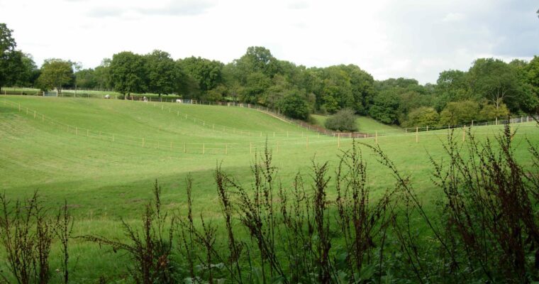 Farming in Protected Landscapes: Indicative Projects