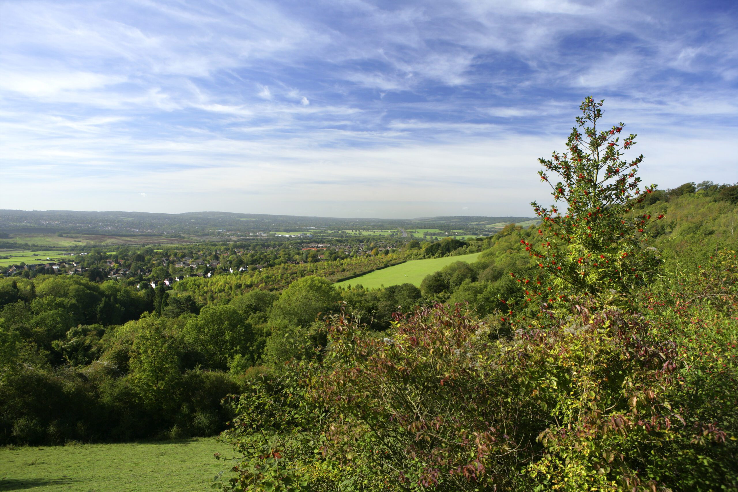 View over Tolsford walk, with green fields and woodland on sunny day.