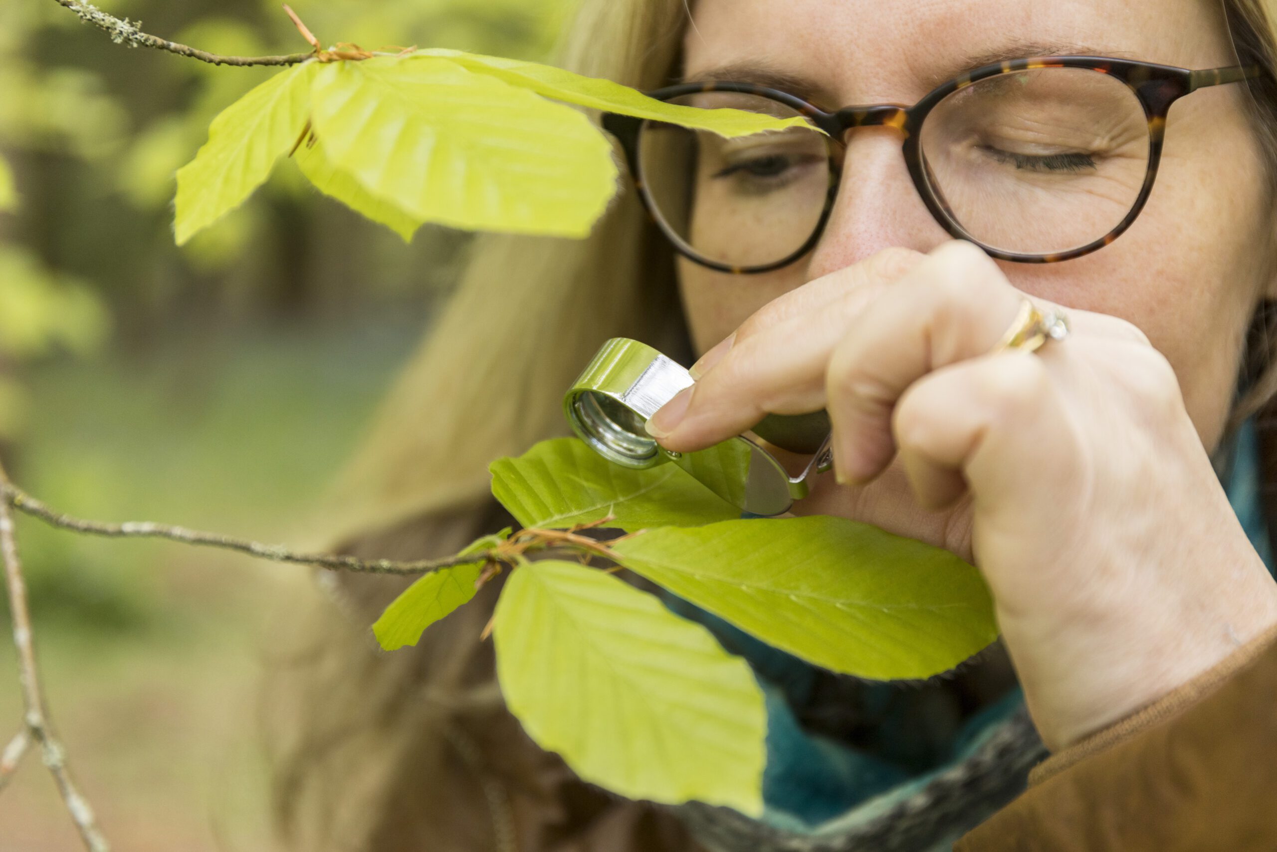 Woman studying the leaves with a magnifying glass