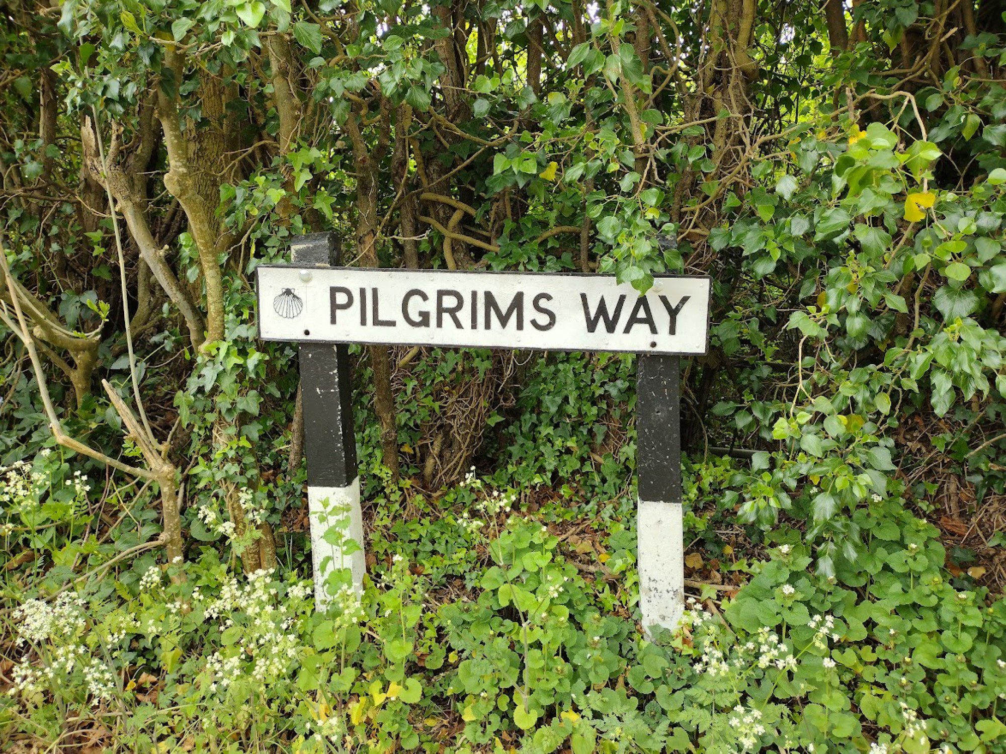 Pilgrims Way sign.