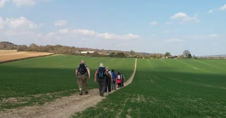 Group of walkers on a path through a cut-crop field. Heading away from camera, with sunny skies.