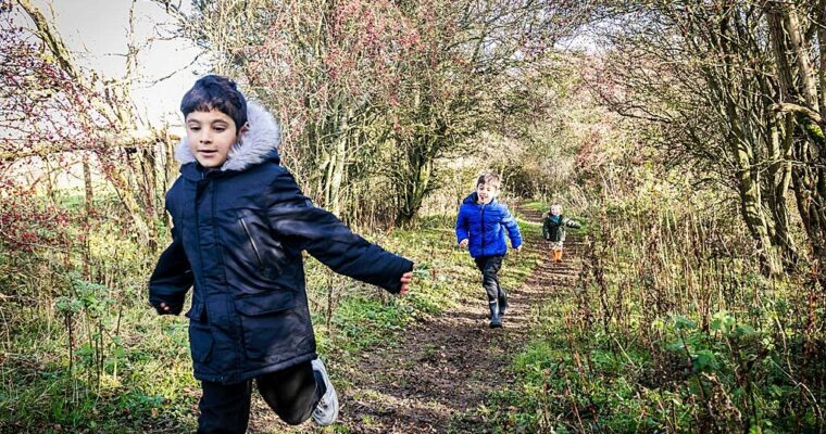 Children running along a woodland path, towards the camera. Sunny day.