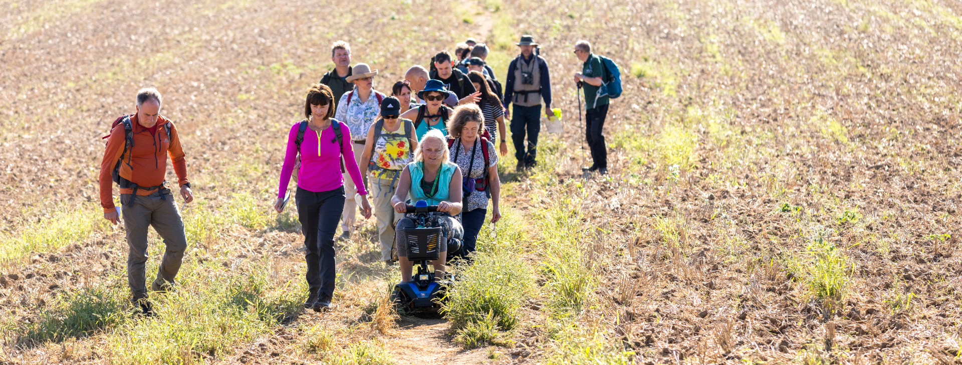 Group of walkers and one person on a mobility scooter, on a dusty path, through cut-crop field.