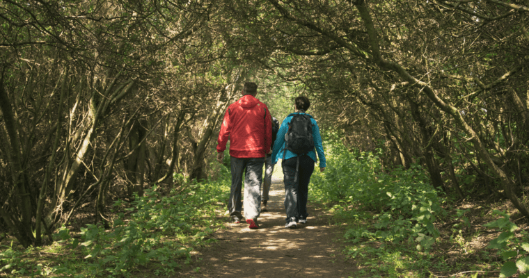 Three people walking away from camera, down woodland path, surrounded with trees.