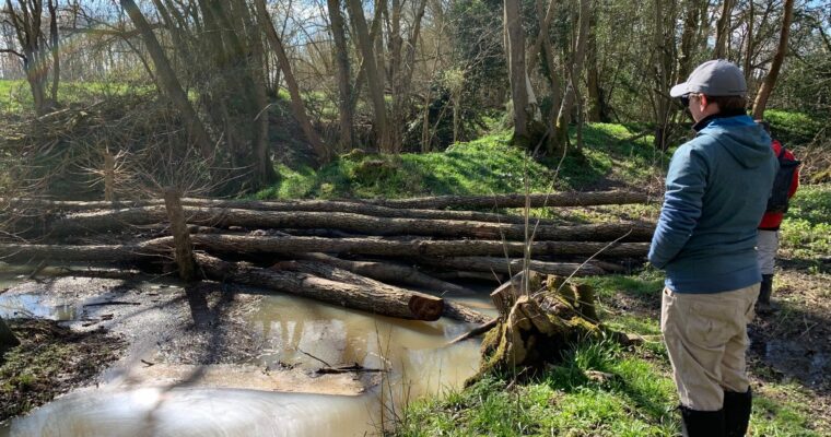 A man looks at a river with trees across it for natural flood management.