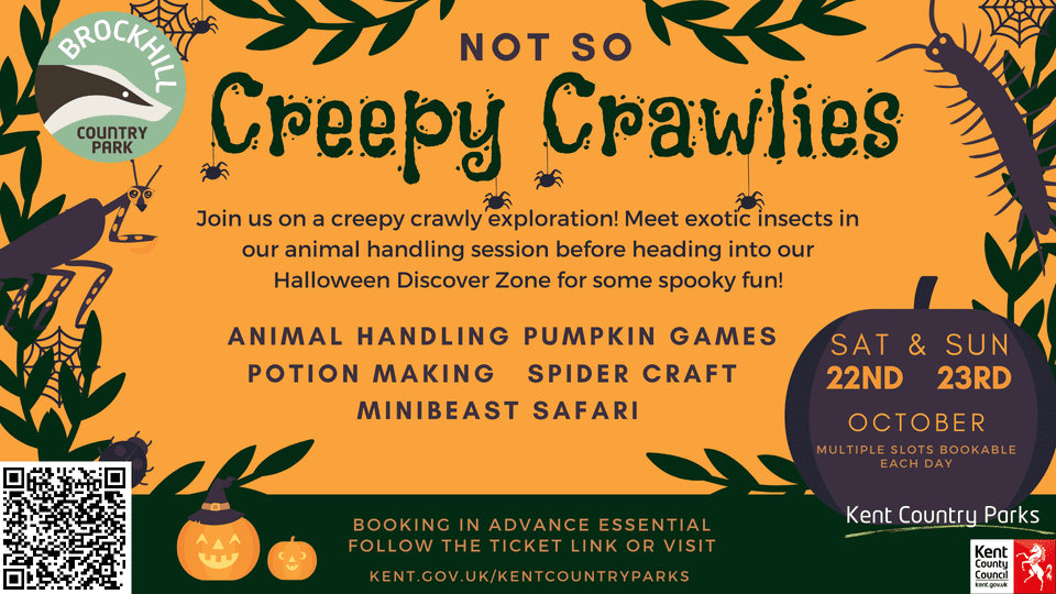 Not so Creepy Crawlies - Kent Downs