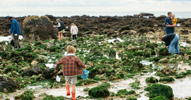 Adults and children rock pooling on a beach.