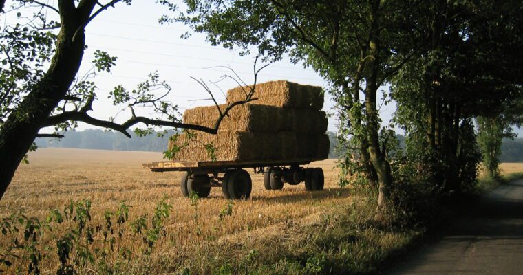 Hay bales on trailer, in field with trees surrounding.