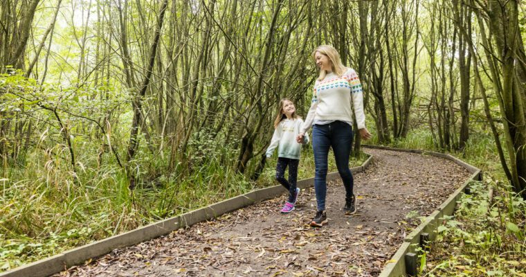 Adult and child walking on path, through woodland with tall trees.