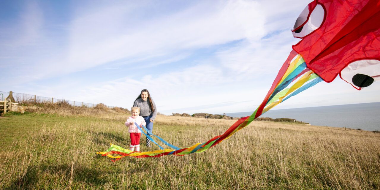 Person and child flying a red kite, in a grass field on a sunny day.