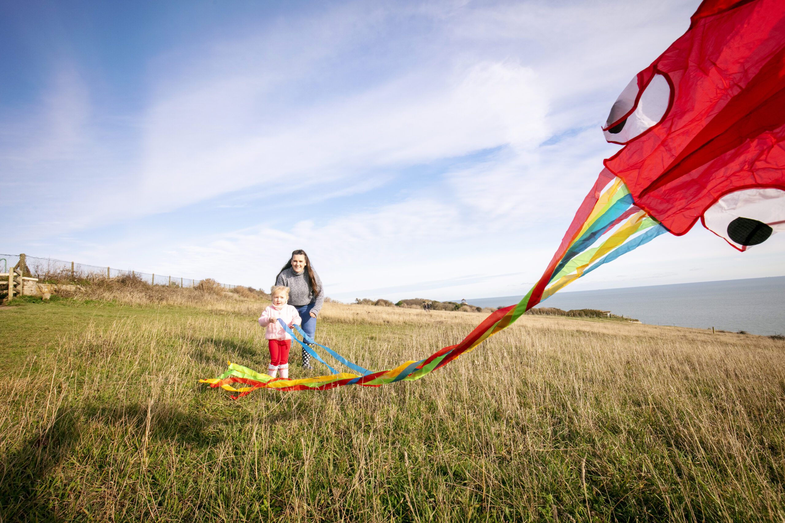 Person and child flying a red kite, in a grass field on a sunny day.