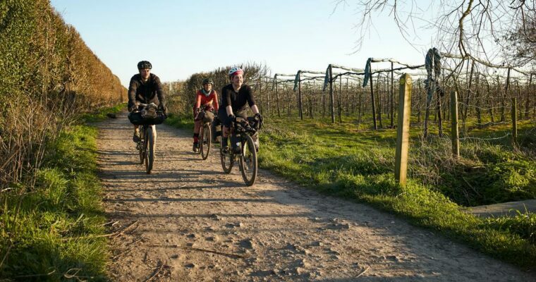 Three cyclists on a dirt pathway, with orchard on right and hedge on left. Cycling towards the camera, on a sunny day.