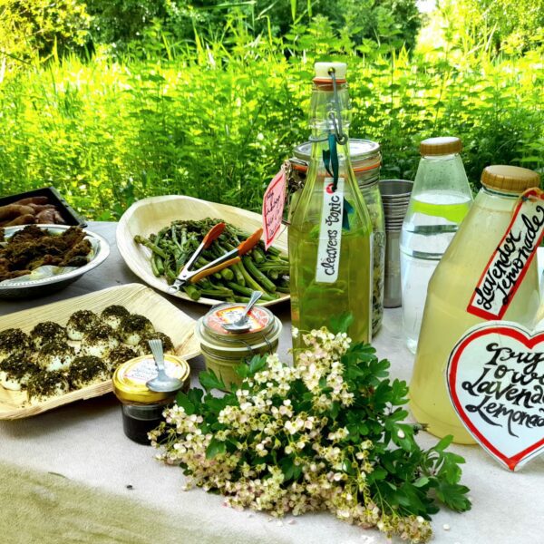 Picnic table with The Wild Kitchen products on, including lavender lemonade and asparagus. With tall plants surrounding the table.